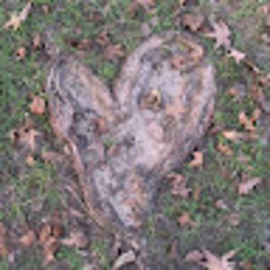 Meet your Posher, Kristi